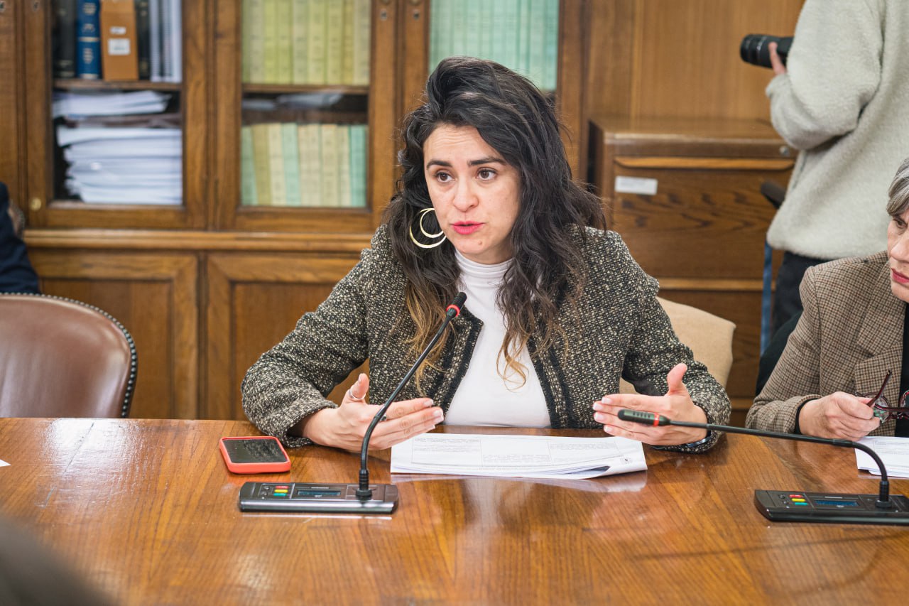 Diputada Javiera Morales: “Matheson le dio la espalda a Magallanes y a la comunidad chilota al abstenerse de un feriado regional”